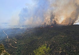 Imagen del incendio en Mata de Lobos (Portugal), junto a la localidad salmantina de Sobradillo.