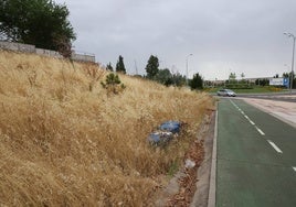 Hierba seca y sin cortar en una parcela en las cercanías del puente de la Universidad.
