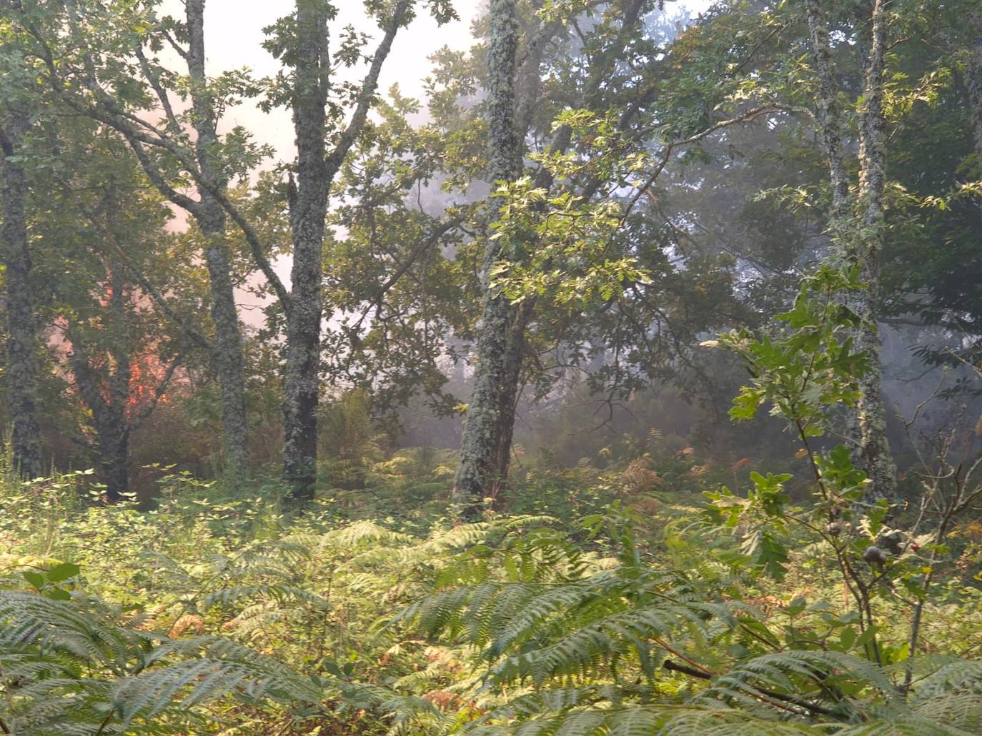 Así están siendo las labores de extinción del terrible incendio de La Alberca