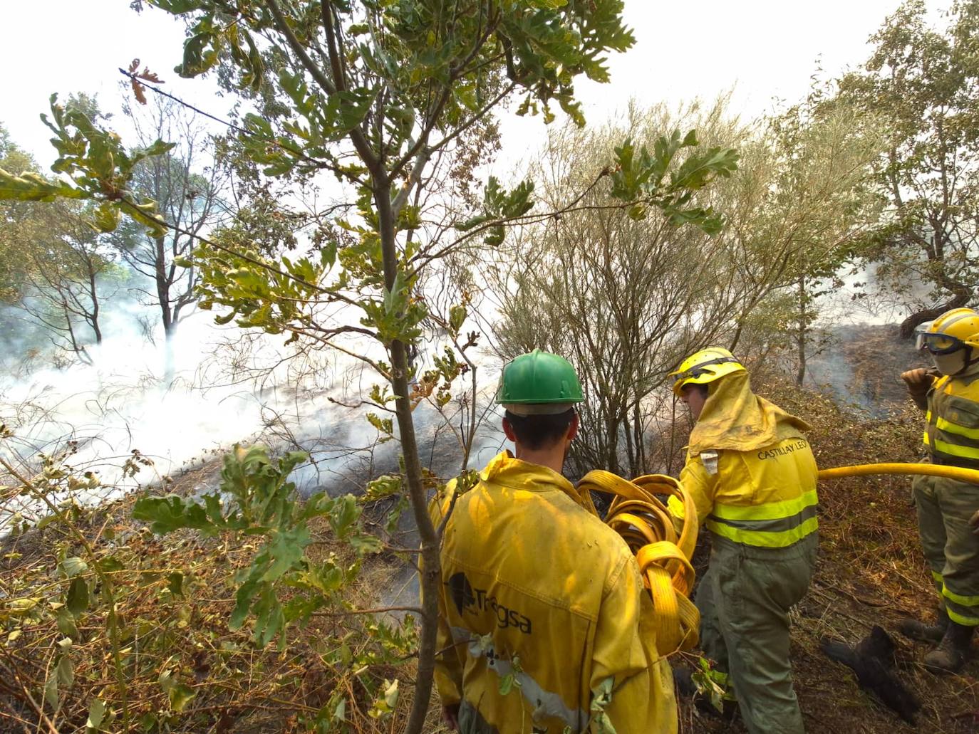 Así están siendo las labores de extinción del terrible incendio de La Alberca