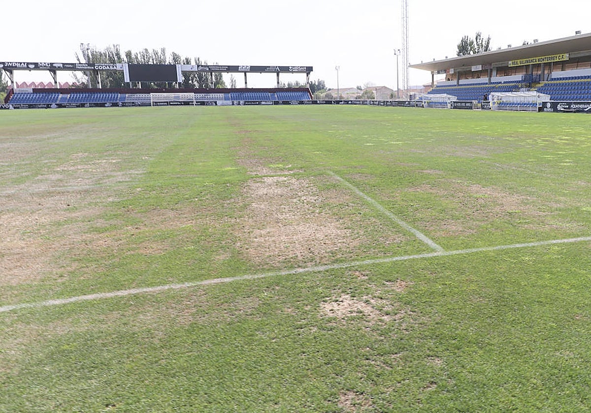 Estado del tapete del estadio Reina Sofía en la jornada de este jueves.