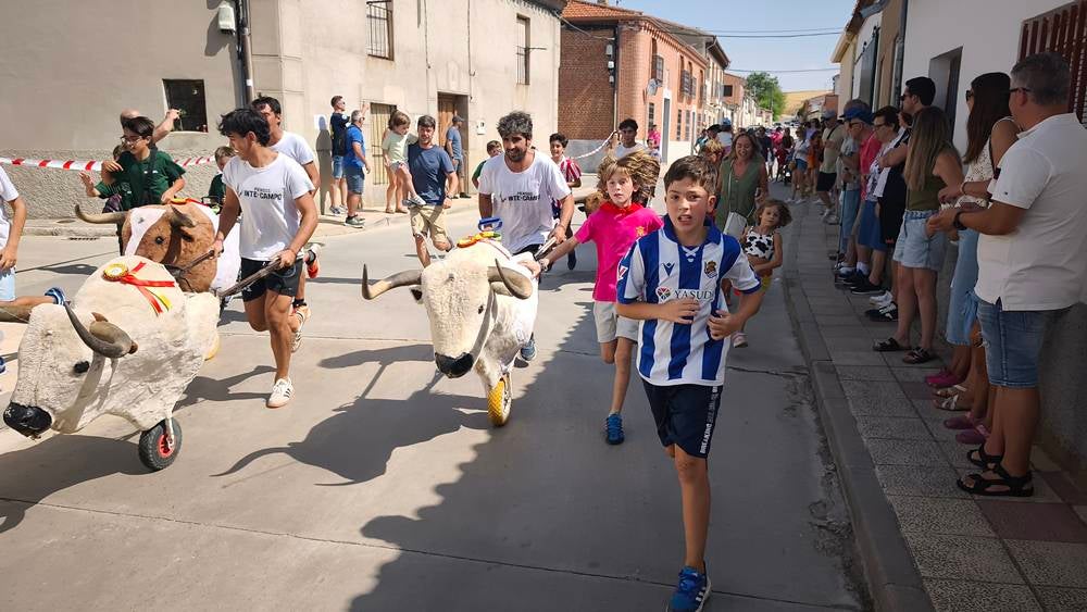 Multitudinario encierro infantil de Macotera