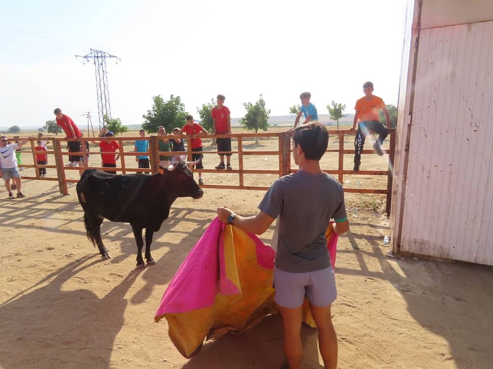 El festejo taurino vuelve a llenar de afición las calles de Cantalpino