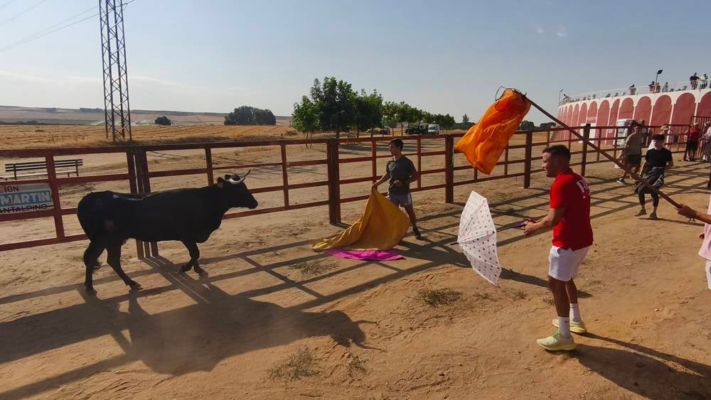 El festejo taurino vuelve a llenar de afición las calles de Cantalpino