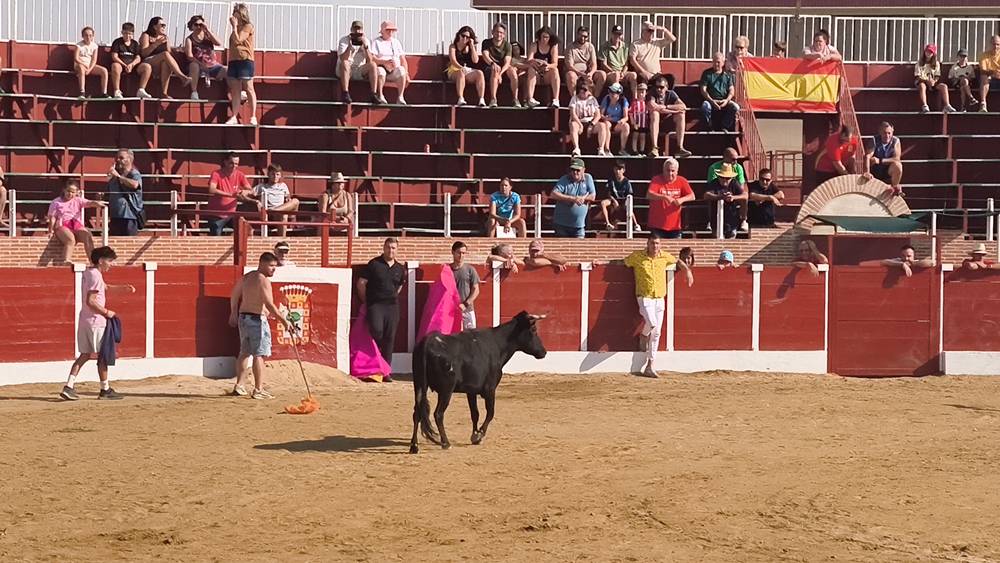 El festejo taurino vuelve a llenar de afición las calles de Cantalpino