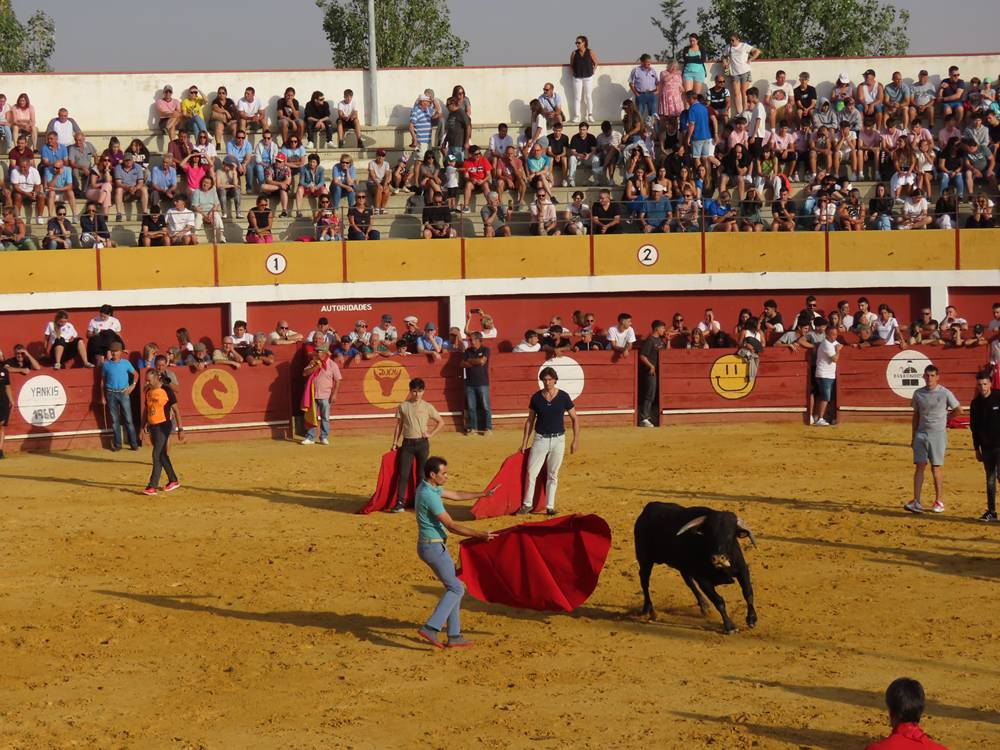 Primer encierro tradicional por las calles de Macotera