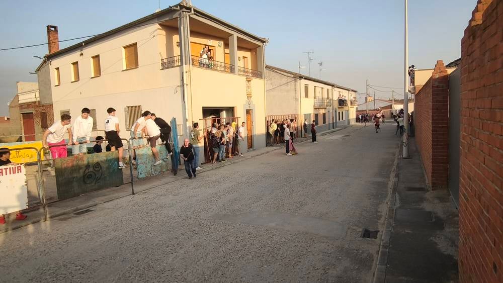 Primer encierro tradicional por las calles de Macotera
