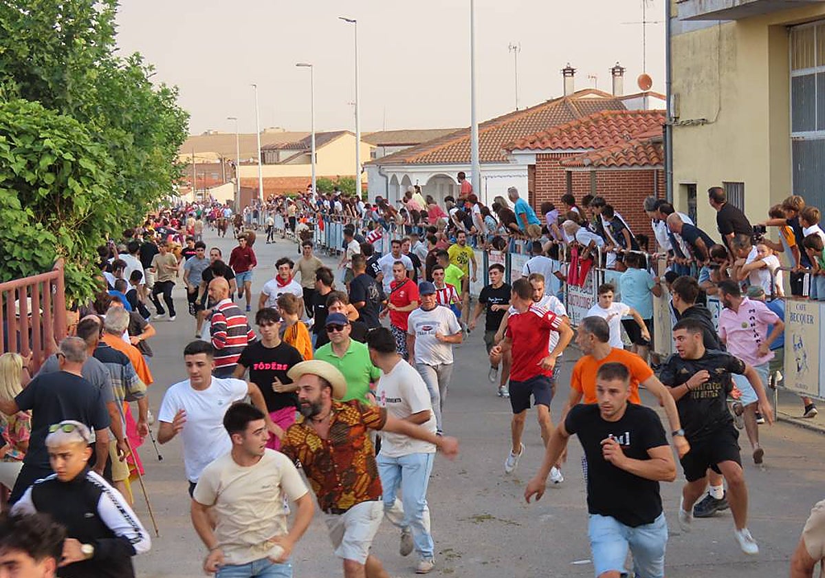 Multitudinario segundo encierro en Macotera