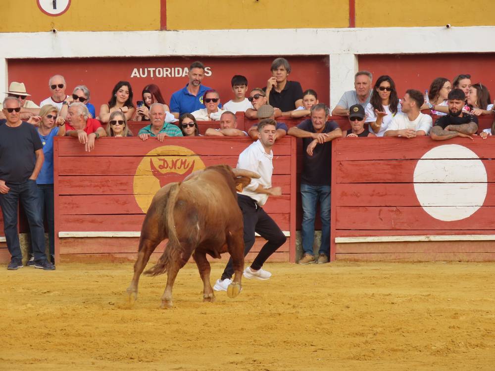 Multitudinario segundo encierro en Macotera