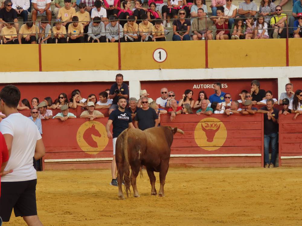 Multitudinario segundo encierro en Macotera