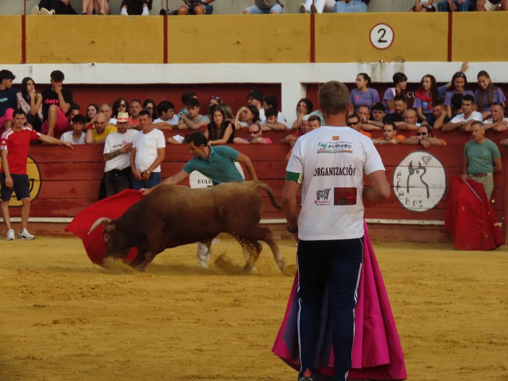 Multitudinario segundo encierro en Macotera