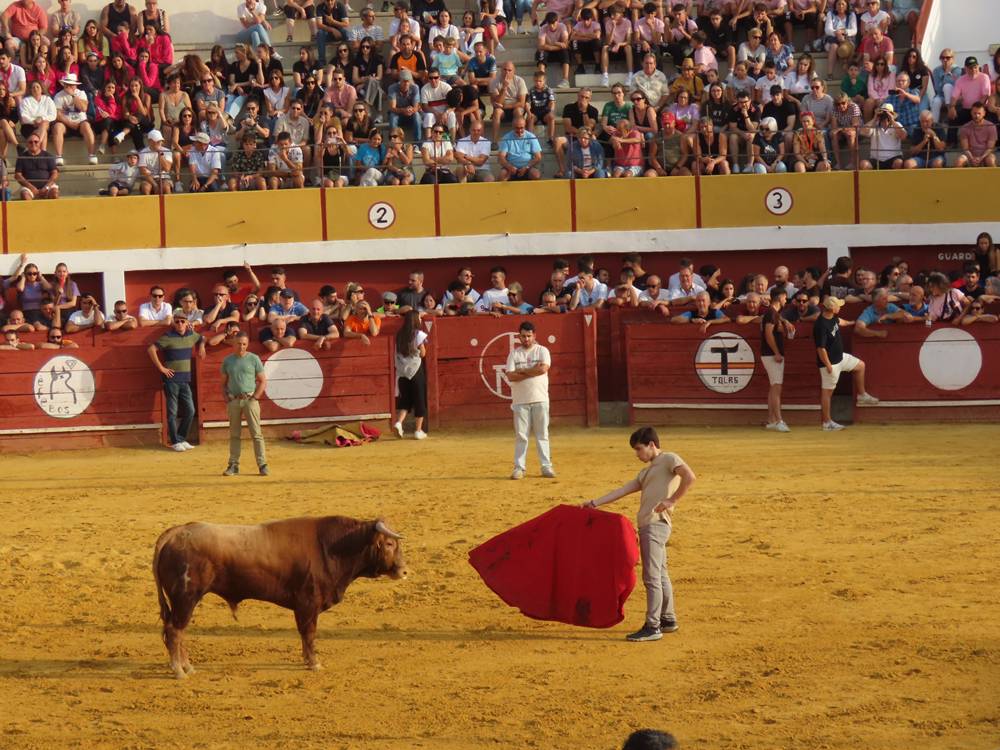 Multitudinario segundo encierro en Macotera