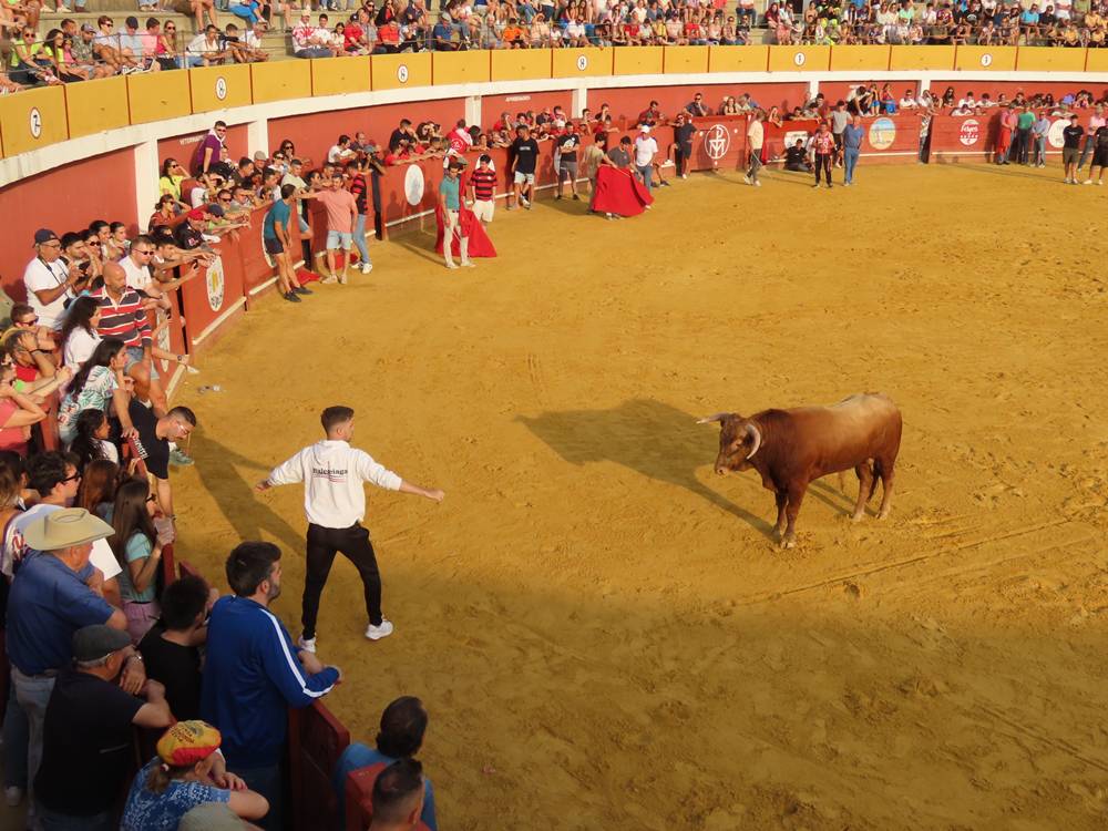 Multitudinario segundo encierro en Macotera