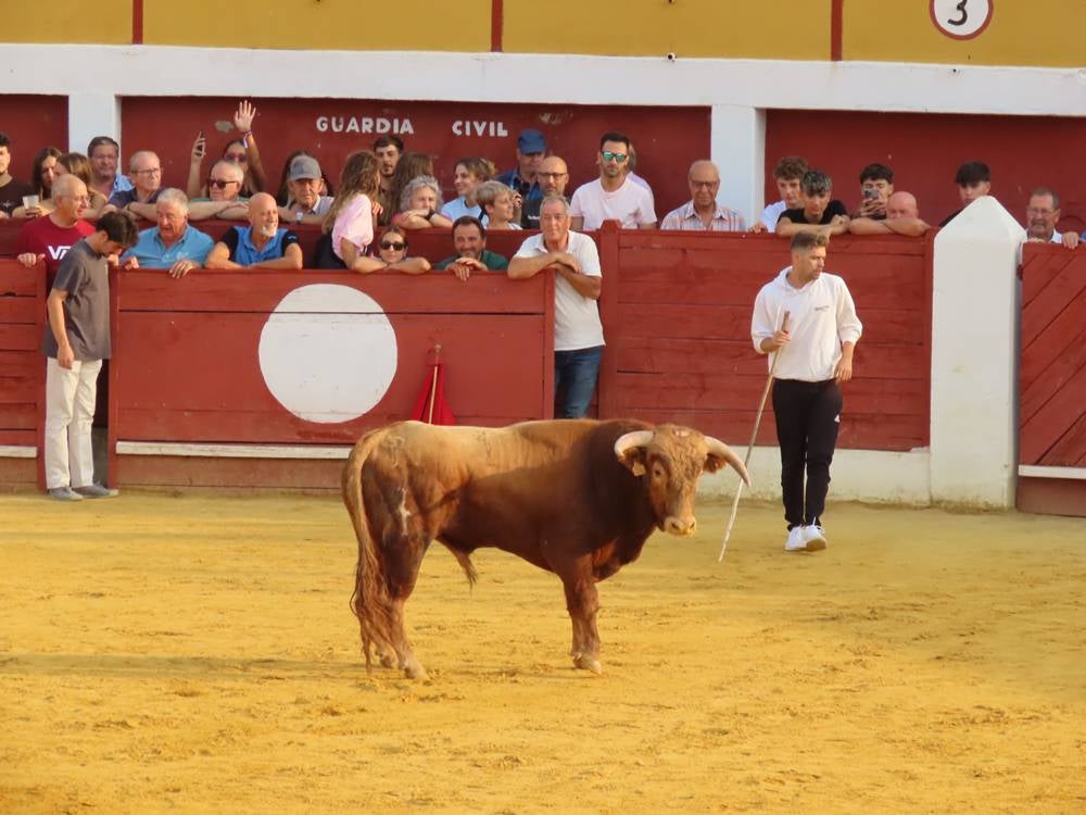 Multitudinario segundo encierro en Macotera