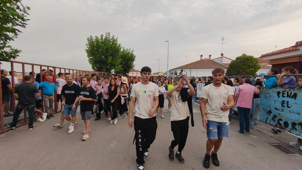 Multitudinario segundo encierro en Macotera