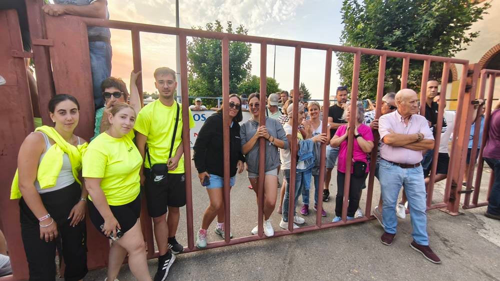 Multitudinario segundo encierro en Macotera