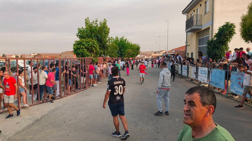 Multitudinario segundo encierro en Macotera