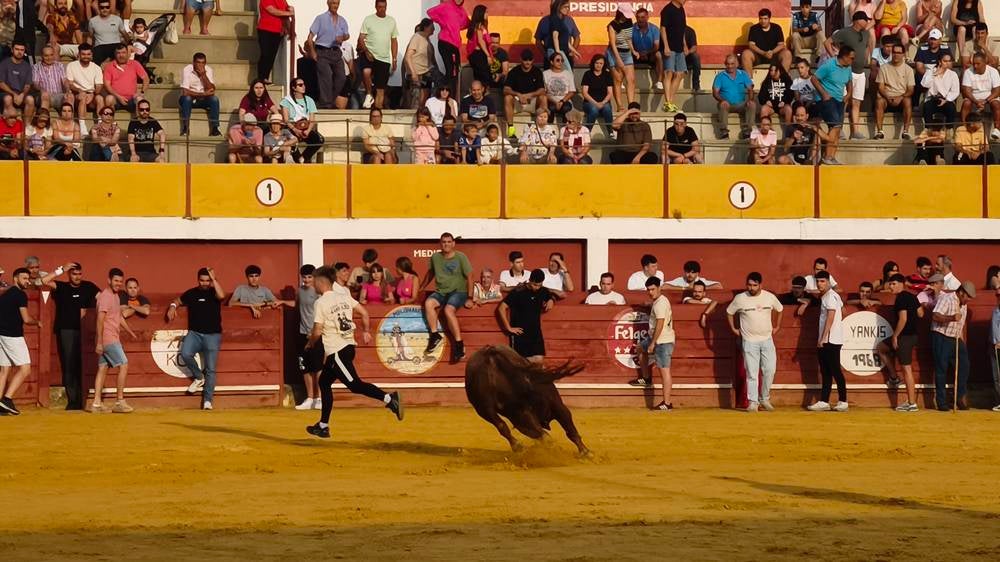 Multitudinario segundo encierro en Macotera