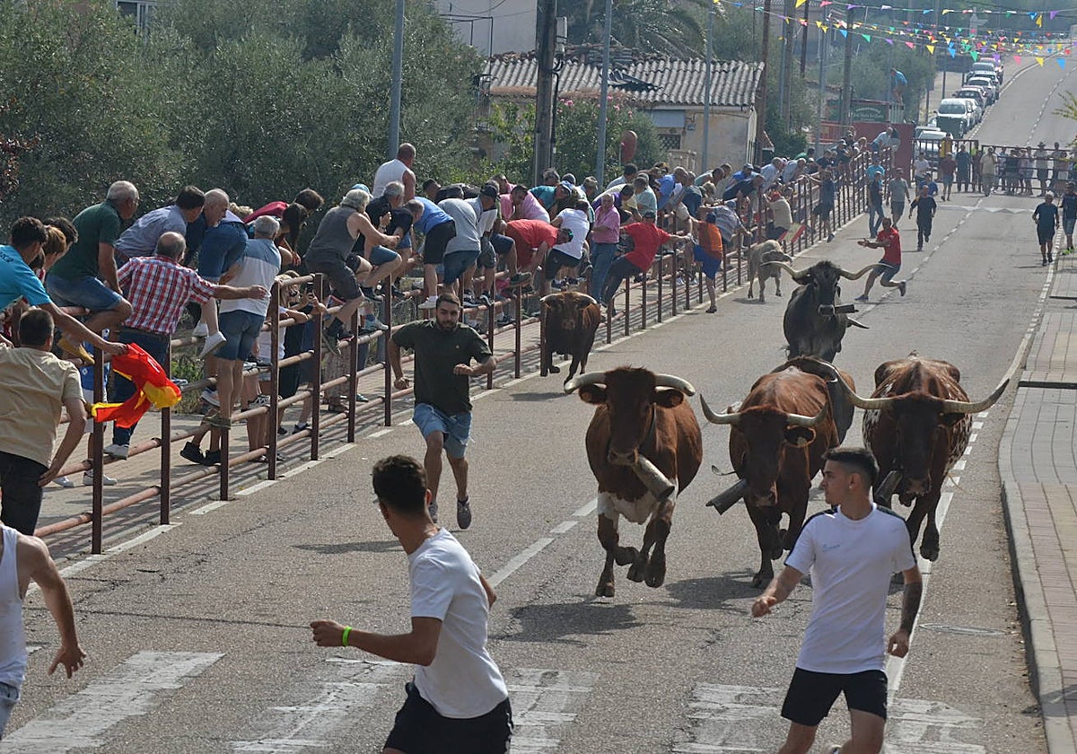 Velocidad y diversión por igual en Villarino de los Aires