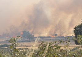 Imagen del incendio de Cipérez.