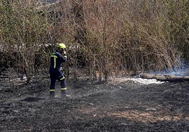 Un bombero de la Diputación de Salamanca, trabajando sobre el terreno que ha calcinado el fuego en Cipérez.