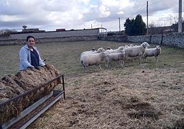 Mari, con algunas de sus ovejas.