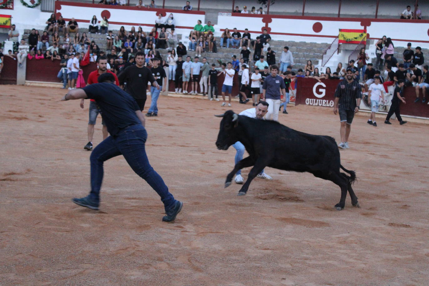 Guijuelo vive con intensidad la vaquilla del aguardiente