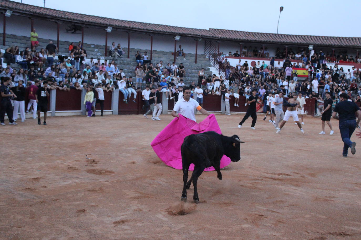 Guijuelo vive con intensidad la vaquilla del aguardiente