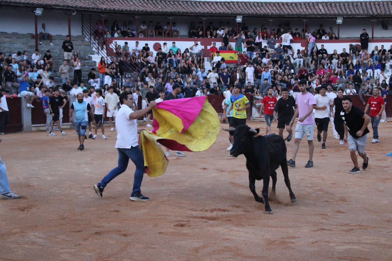 Guijuelo vive con intensidad la vaquilla del aguardiente