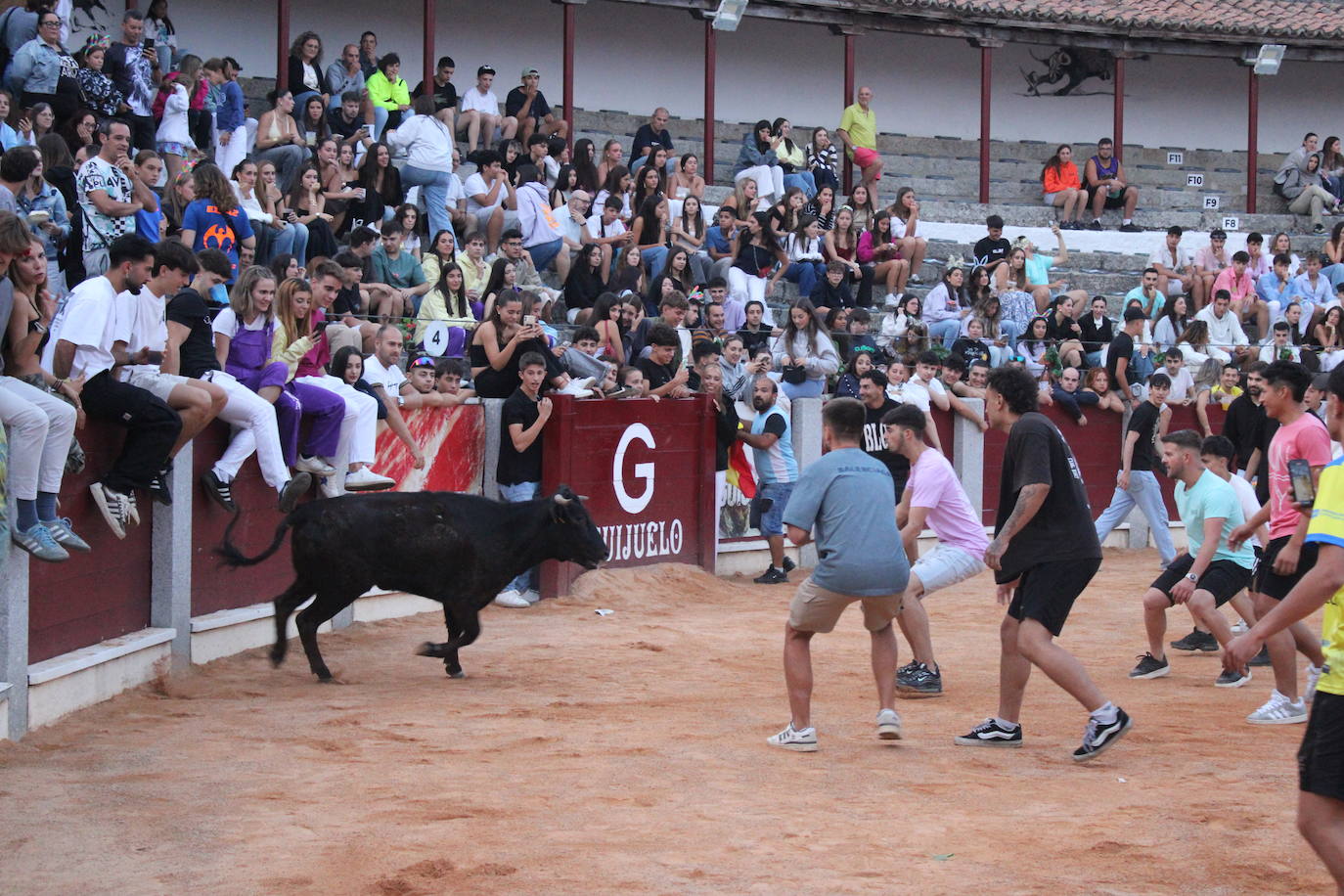 Guijuelo vive con intensidad la vaquilla del aguardiente