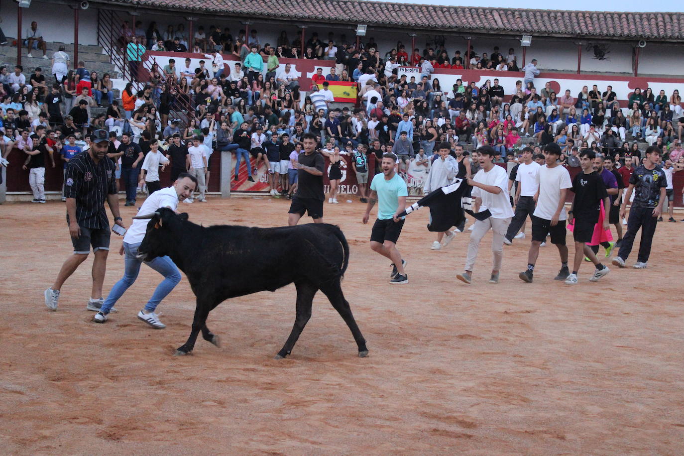 Guijuelo vive con intensidad la vaquilla del aguardiente