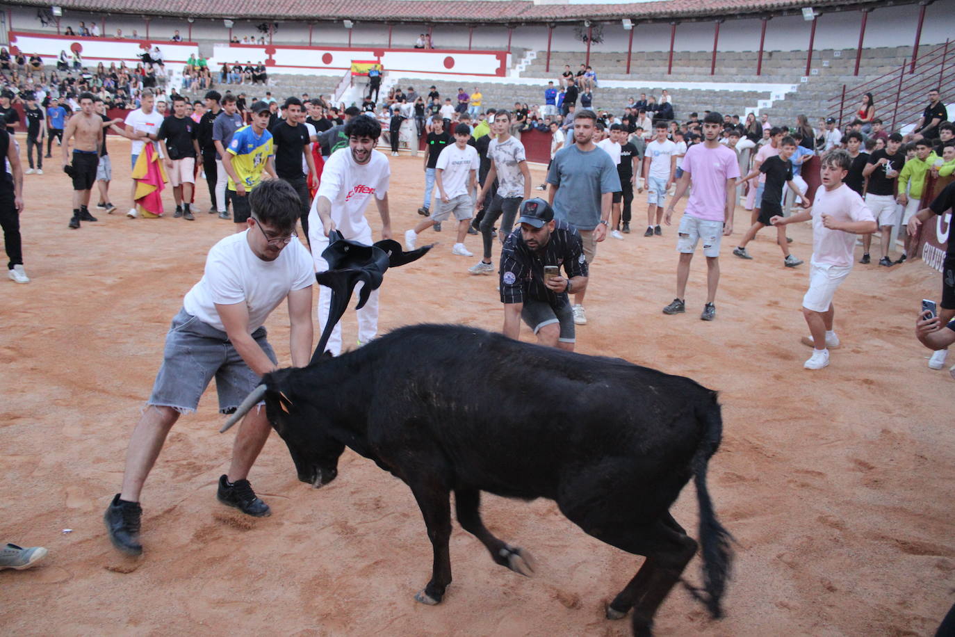 Guijuelo vive con intensidad la vaquilla del aguardiente