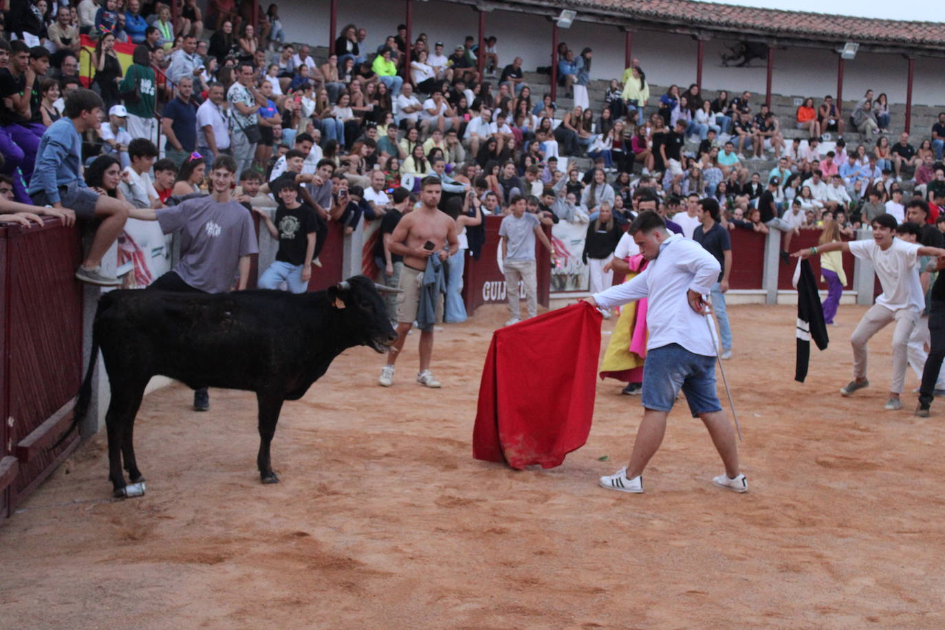 Guijuelo vive con intensidad la vaquilla del aguardiente