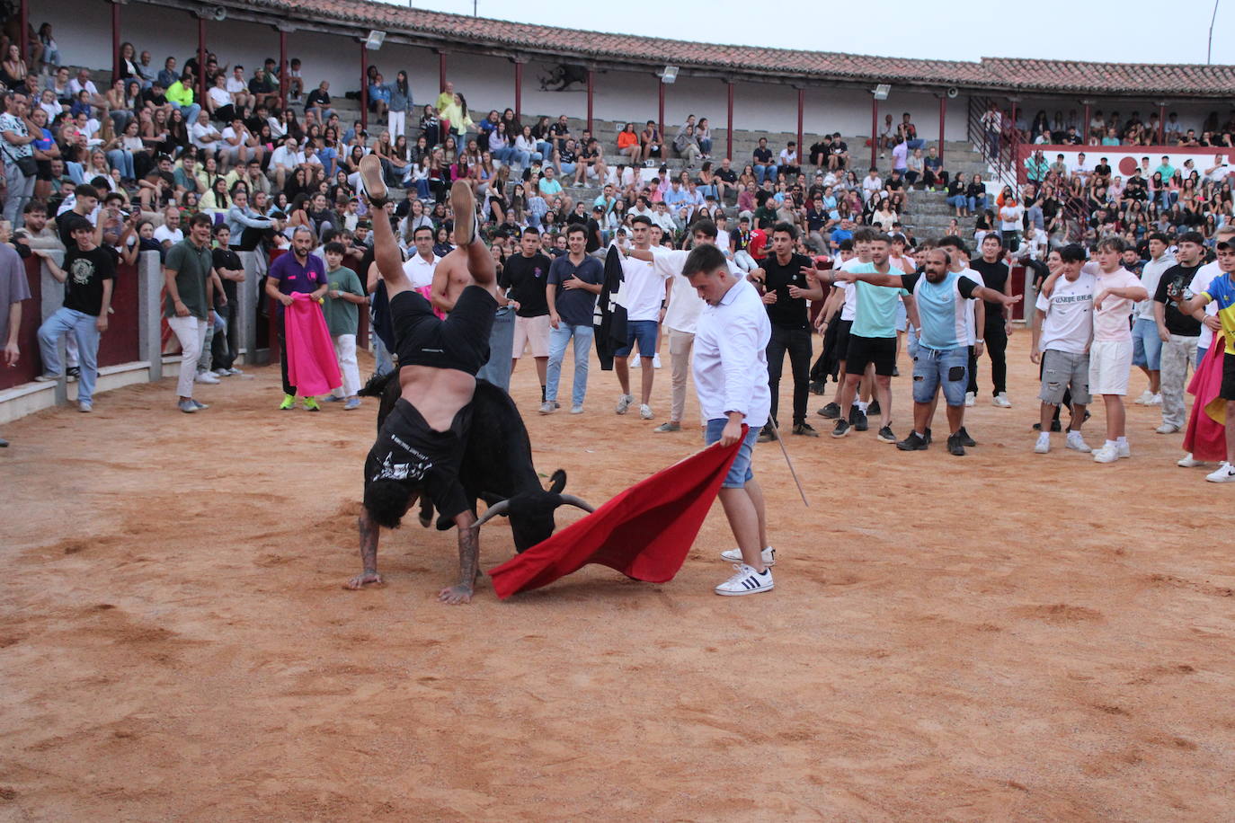 Guijuelo vive con intensidad la vaquilla del aguardiente