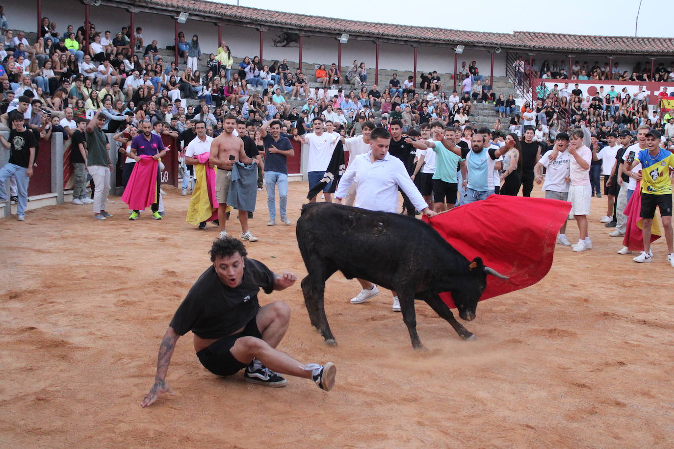 Guijuelo vive con intensidad la vaquilla del aguardiente