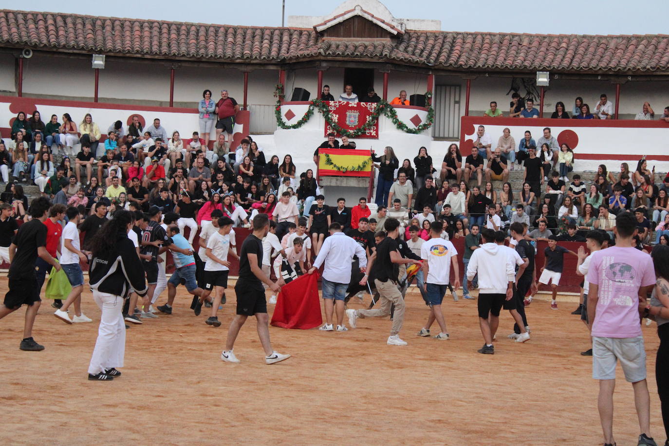 Guijuelo vive con intensidad la vaquilla del aguardiente