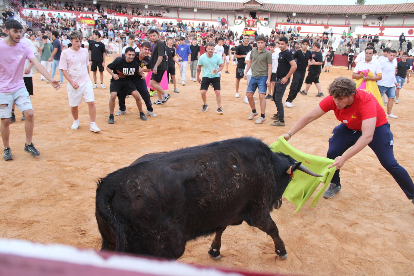 Guijuelo vive con intensidad la vaquilla del aguardiente