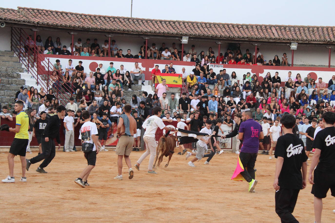 Guijuelo vive con intensidad la vaquilla del aguardiente