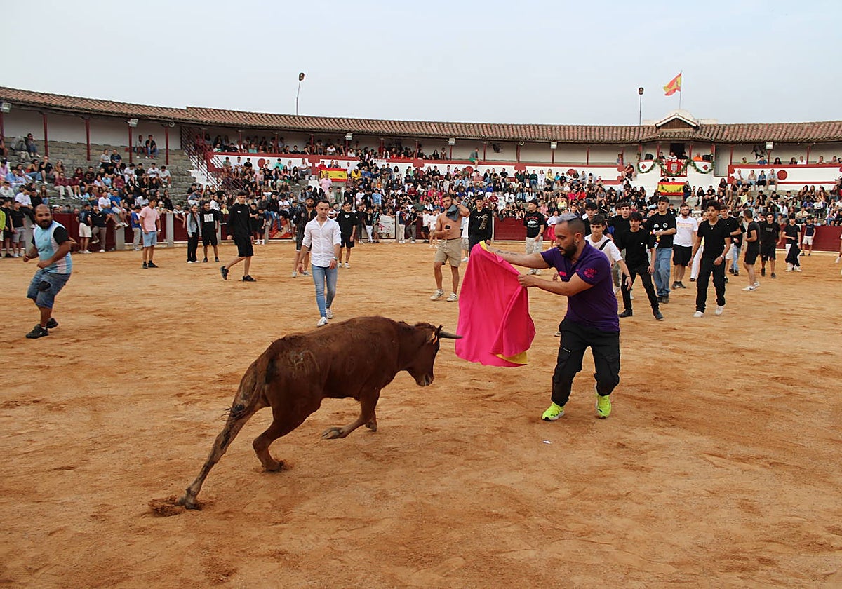 Guijuelo vive con intensidad la vaquilla del aguardiente
