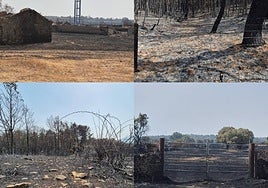 Algunas de las zonas afectadas.