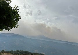 Situación en Candelario del incendio proveniente de Hervás y Jarilla.