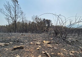 Imagen de una explotación ganadera de Cipérez.