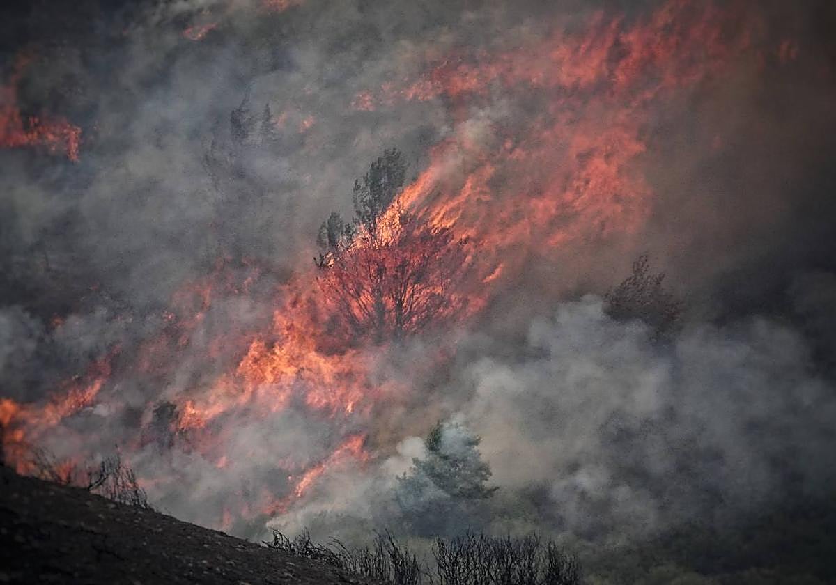 Vista de las llamas del incendio declarado en el Puerto de San Glorio.