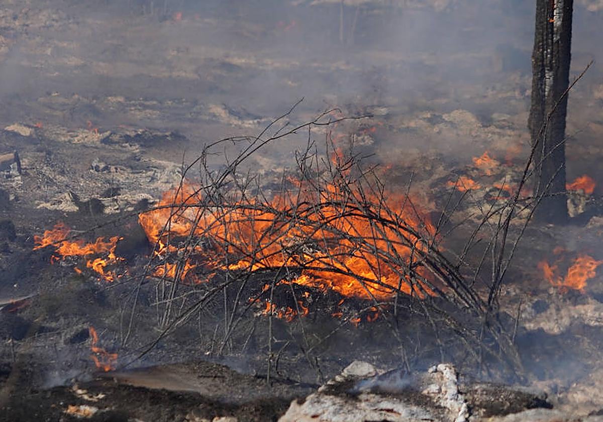 Imagen de un fuego declarado en la provincia, ajeno a esta información.