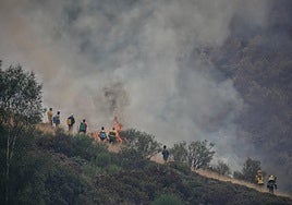 Varias personas tratan de extinguir un fuego en el Puerto de San Glorio, León.