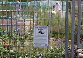 La seguridad de los Huertos Urbanos es controlada con cámaras de vigilancia las 24 horas del día.