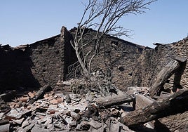 Zonas de Cerezal de Puertas arrasadas por las llamas.