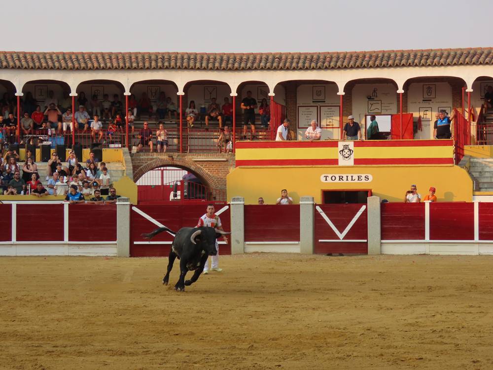 Jueves de Ferias y Fiestas: Diversión sin freno en Peñaranda