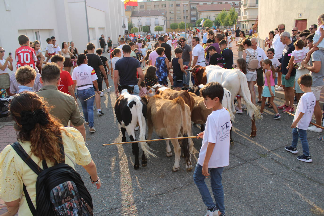 Guijuelo vive con intensidad la vaquilla del aguardiente