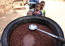 La ONU declara oficialmente la hambruna en la ciudad de Gaza y alrededores